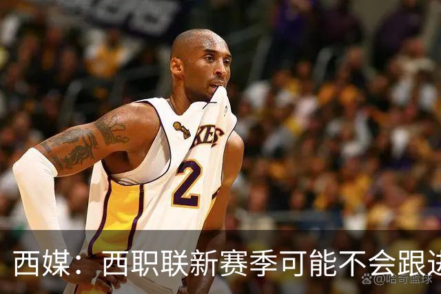 西媒：西职联新赛季可能不会跟进世界杯上的“维尼修斯法案”