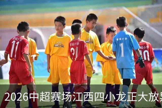 2026中超赛场江西四小龙正大放异彩，你最看好谁？